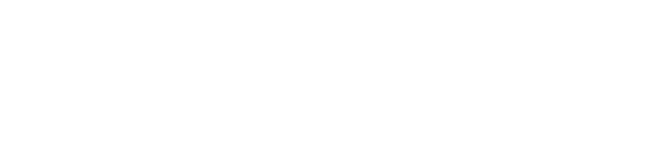 Wordpress Logo 2020 Content Management System